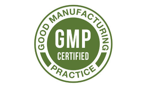 visionx gmp certified